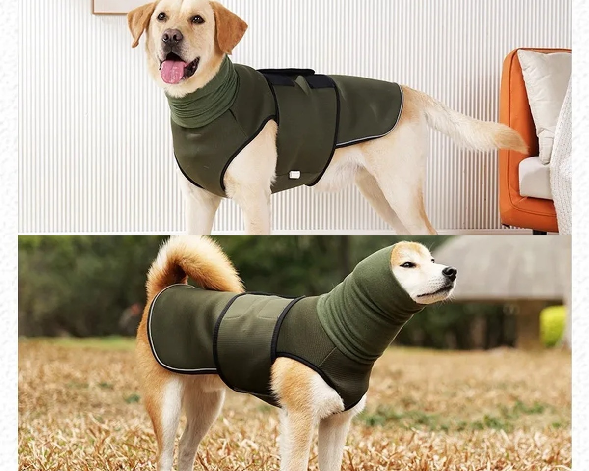 The Aluna Wrap on two dogs — hood down for everyday, hood up for storms and fireworks